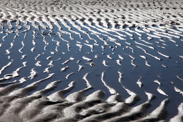 Tides Out