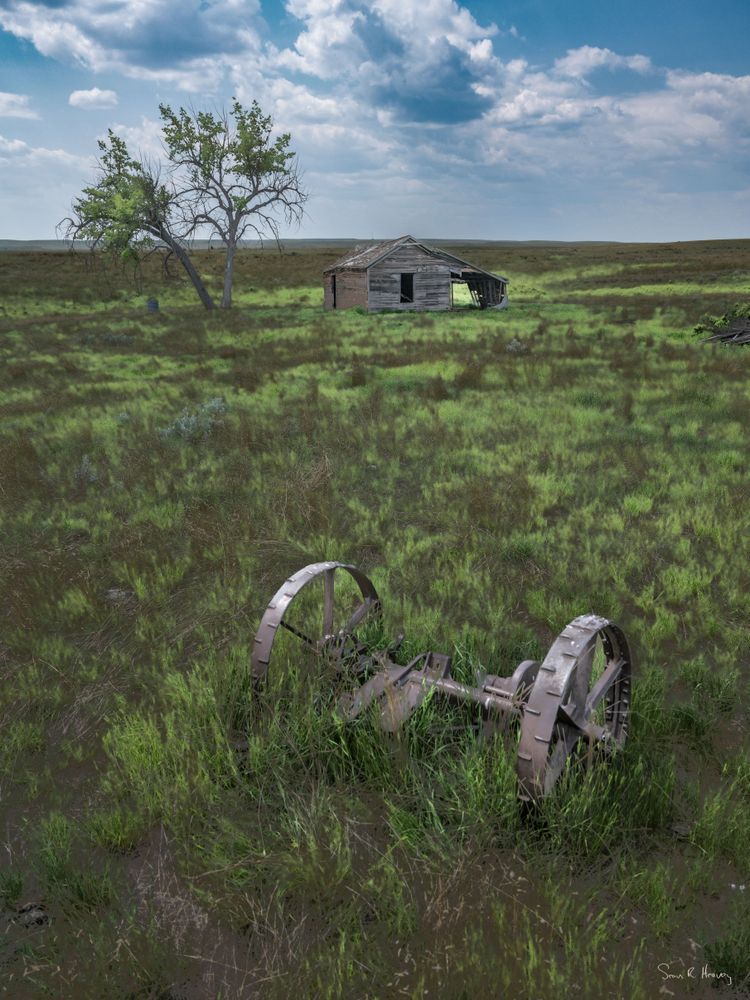 Discovering the Brown Homestead