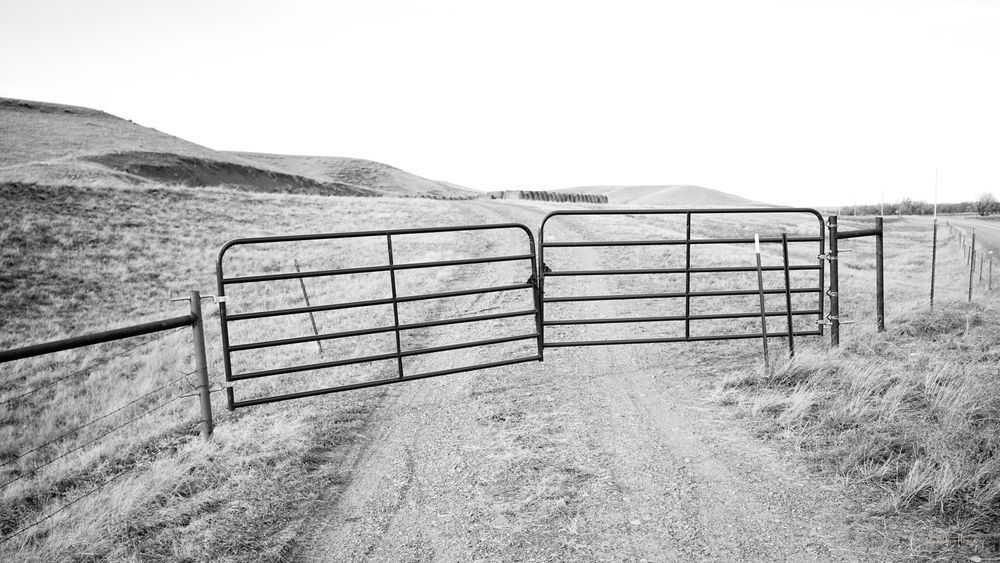 Heavey2015 03 29 Dsc03451.Jpg Photography Art | Sean R. Heavey