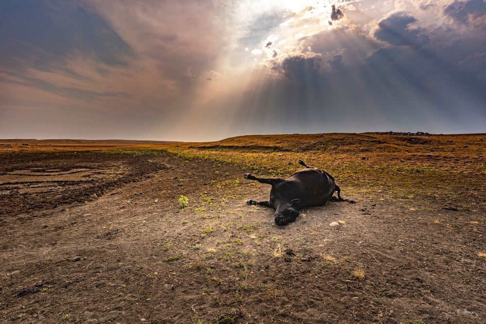 Heavey A730720.Jpg Photography Art | Sean R. Heavey