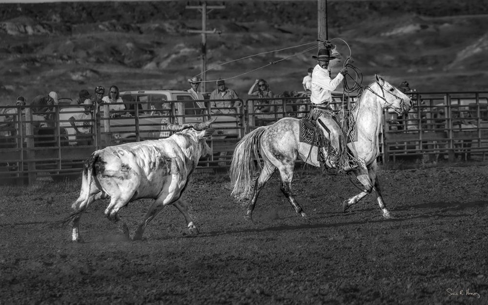 Heavey Dsc08247a Photography Art | Sean R. Heavey