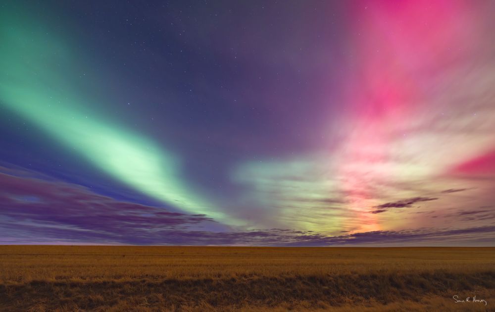 Green And Crimson Photography Art | Sean R. Heavey