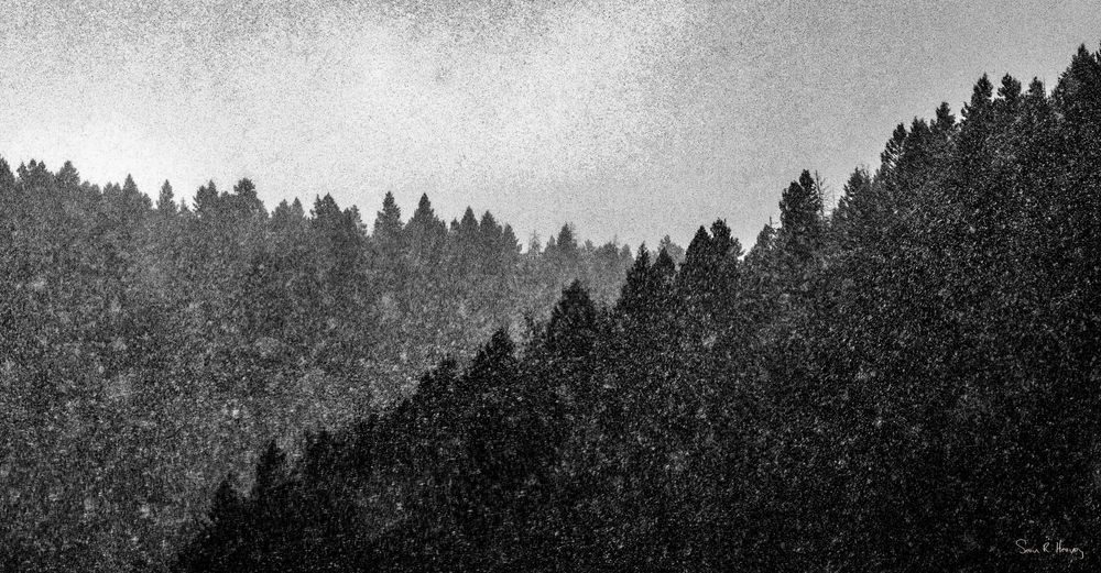 Heavey Img 1712 Photography Art | Sean R. Heavey