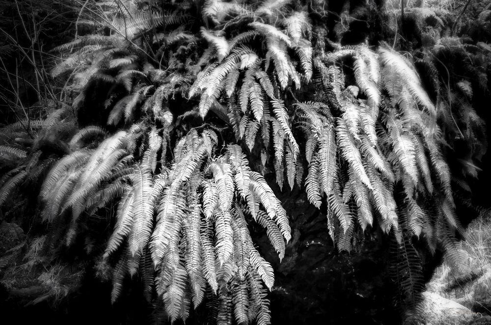 Heavey Img 1078 Photography Art | Sean R. Heavey
