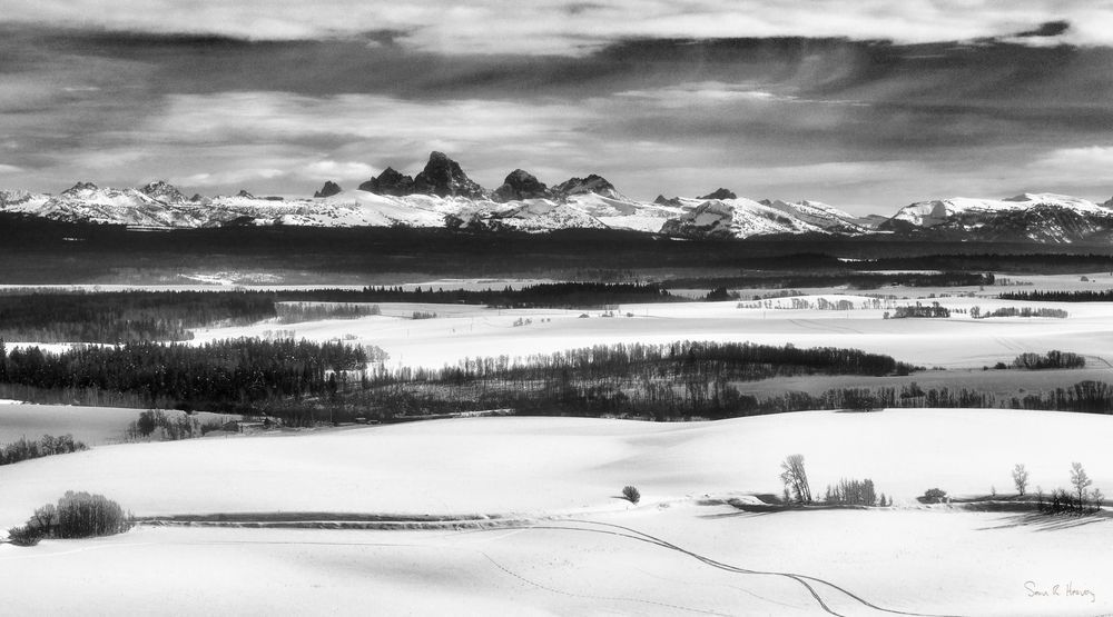 Heavey Snapseed 47 Photography Art | Sean R. Heavey