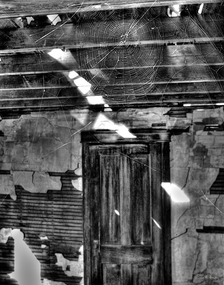 Tattered Time