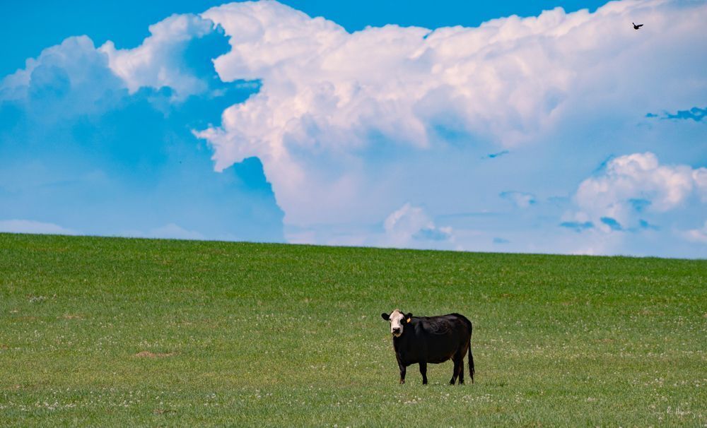 Heavey A7304870.Jpg Photography Art | Sean R. Heavey