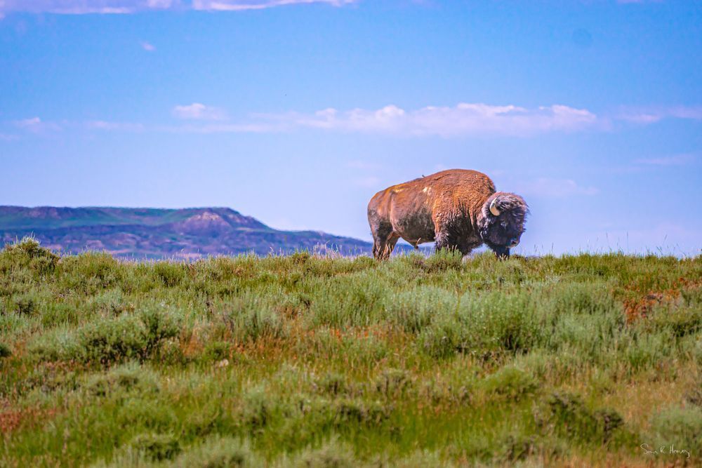 Heavey A7309335.Jpg Photography Art | Sean R. Heavey