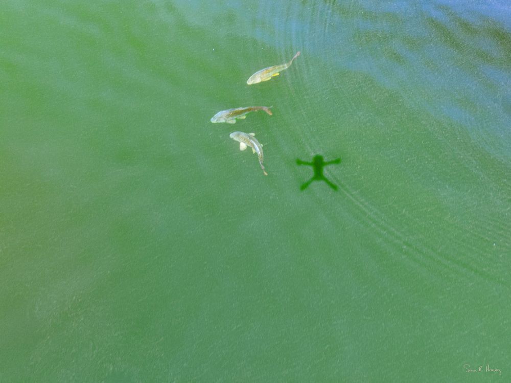 Heavey Dji 0139.Jpg Photography Art | Sean R. Heavey