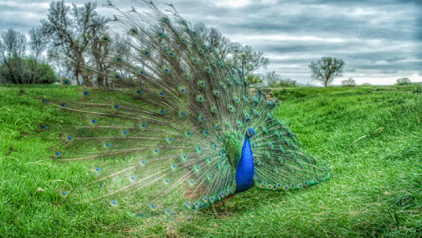 Heavey Img 4461.Jpg Photography Art | Sean R. Heavey