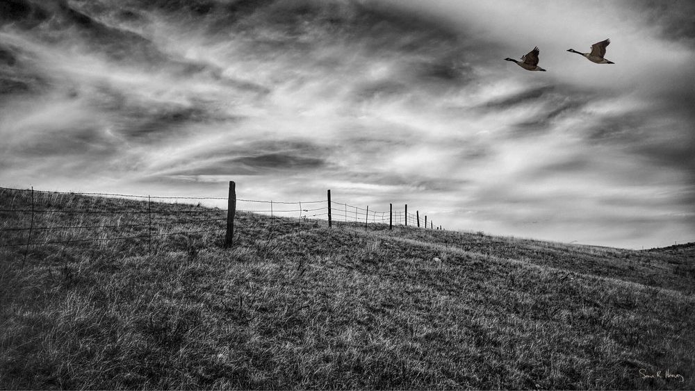 Heavey Img 3998a.Jpg Photography Art | Sean R. Heavey
