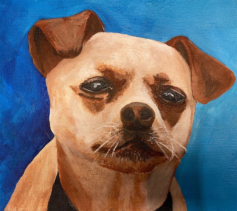 
        <div class='title'>
          Gracie
        </div>
       