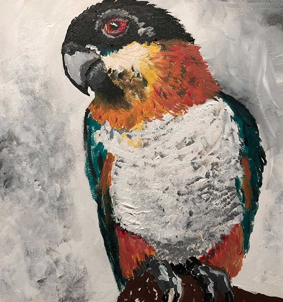 Shakira Art | Forever in Art