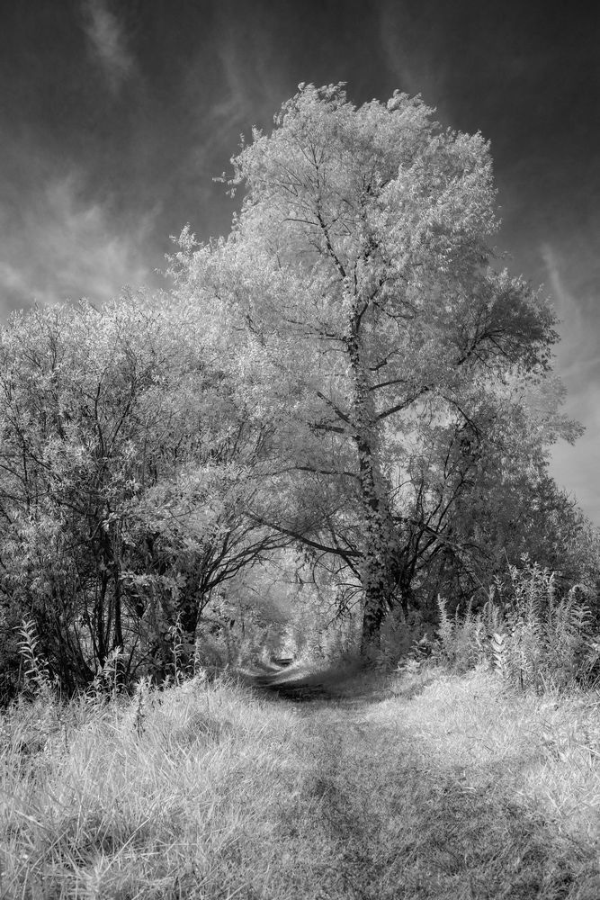 Gateway To Wonder Photography Art | Kevin Morris Photography USA