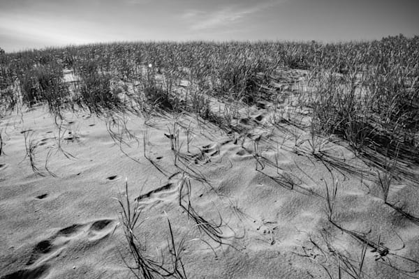 Footprints in the dune sands
