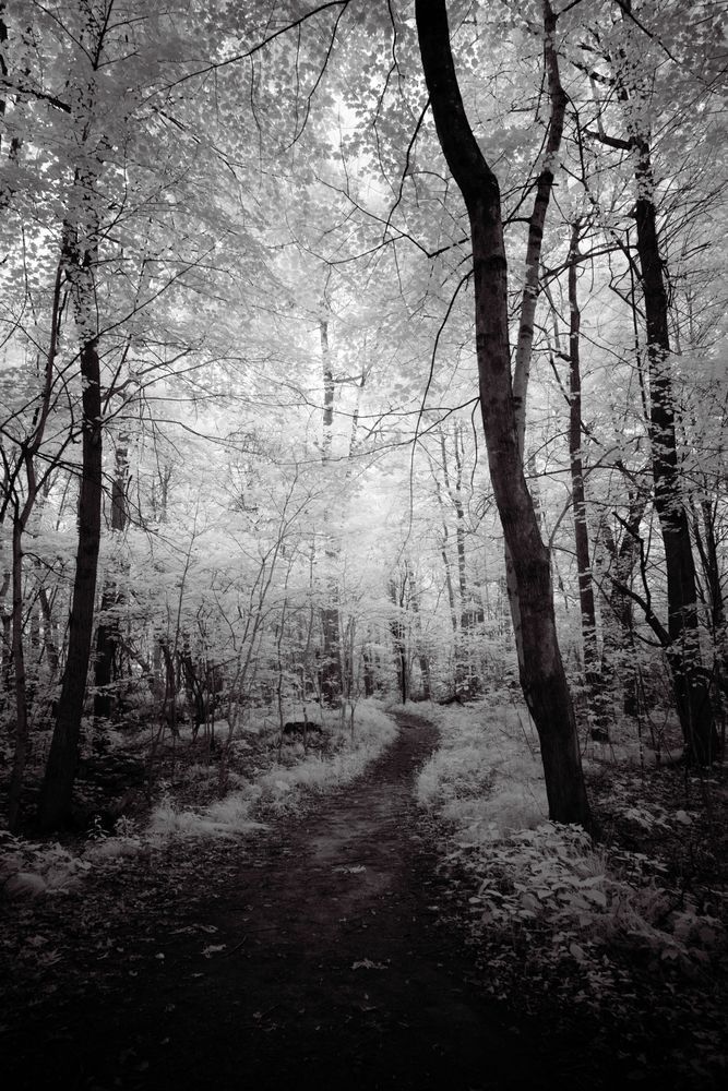 The Quiet Journey In Between Photography Art | Kevin Morris Photography USA