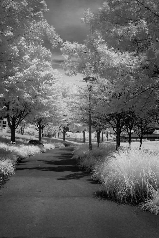 Along The River Walk Photography Art | Kevin Morris Photography USA