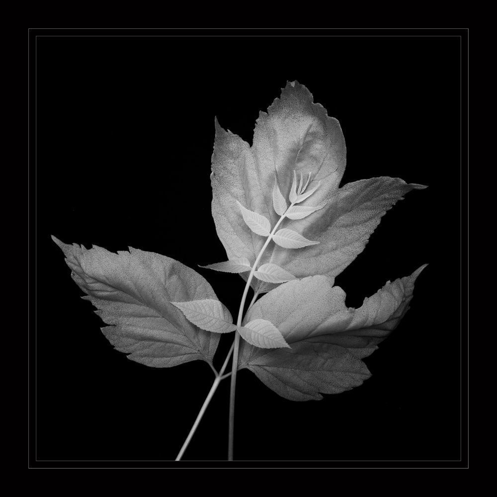 Together Photography Art | Kevin Morris Photography USA