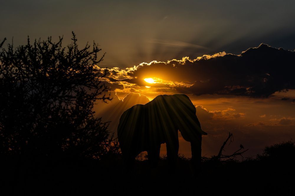 Silent Giant At Sunset Photography Art | Kevin Morris Photography USA