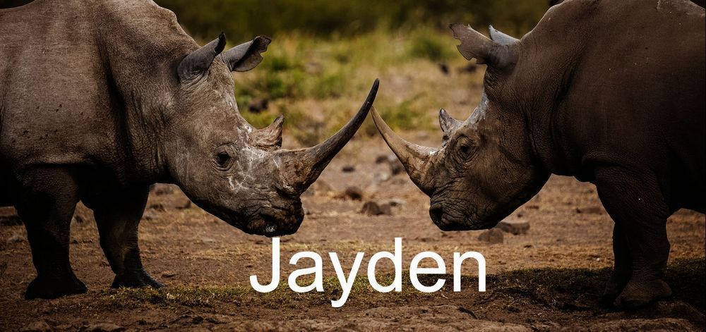 Jayden Photography Art | Kevin Morris Photography USA