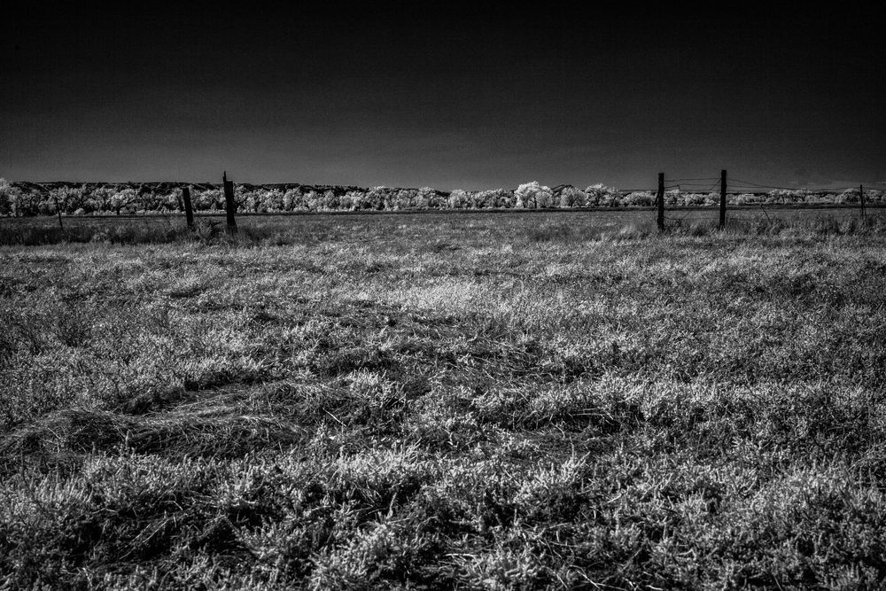 Whispers Of The Barbed Horizon Photography Art | Kevin Morris Photography USA
