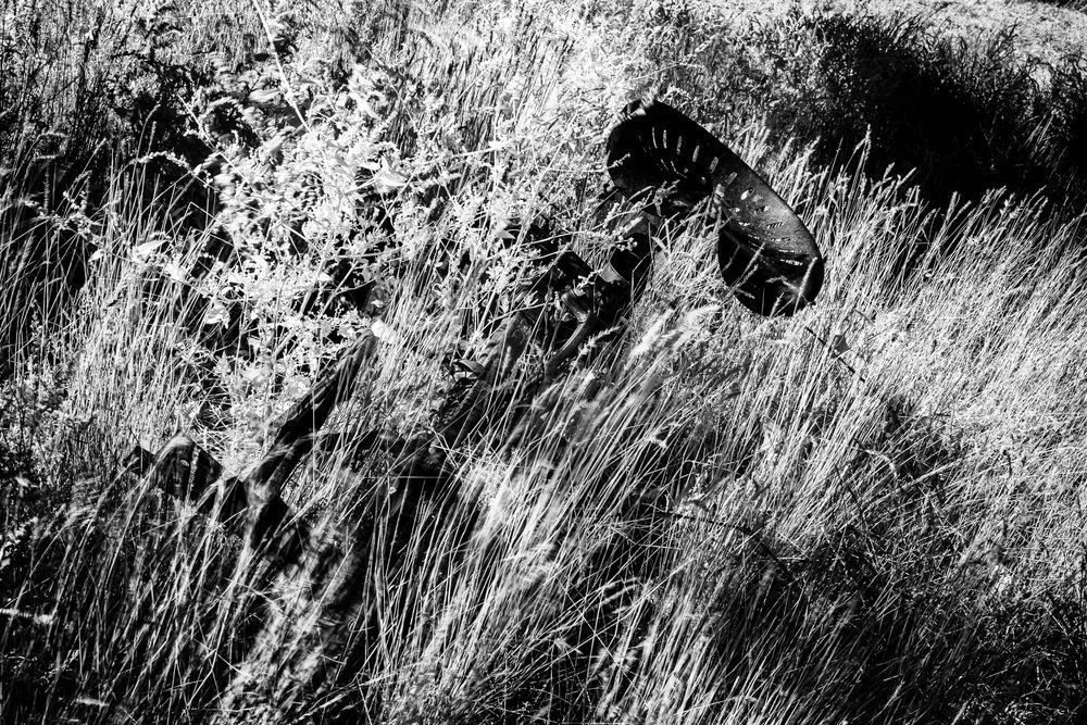 Rust And Weave In A Grassy Matrix Photography Art | Kevin Morris Photography USA