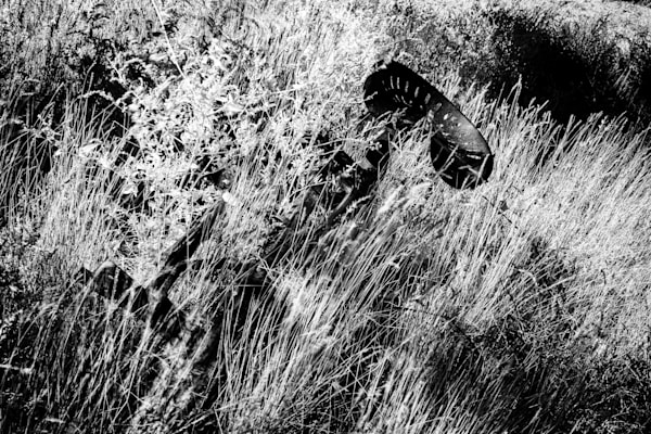 Rust and Weave in a Grassy Matrix