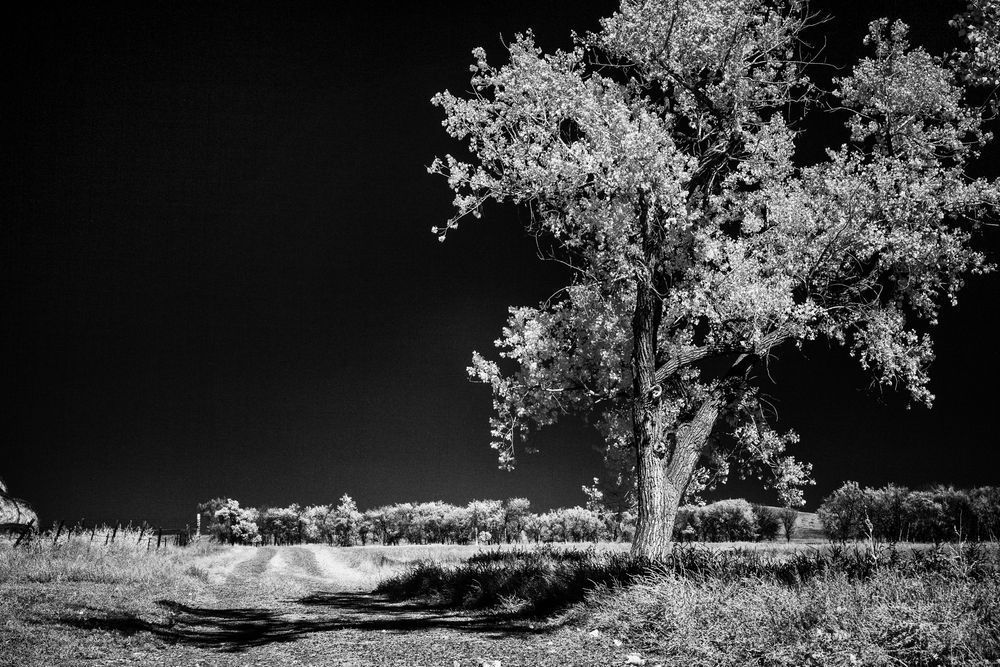 Shadowed Path To Tranquility Photography Art | Kevin Morris Photography USA