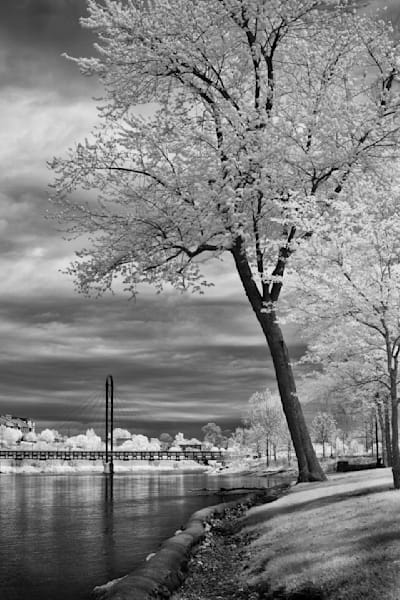 Serene Reflections in Black and White
