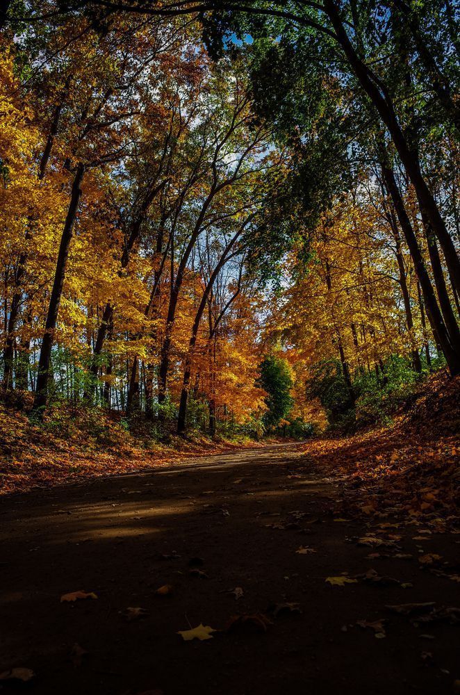 Fall Colors 1 Photography Art | Kevin Morris Photography USA