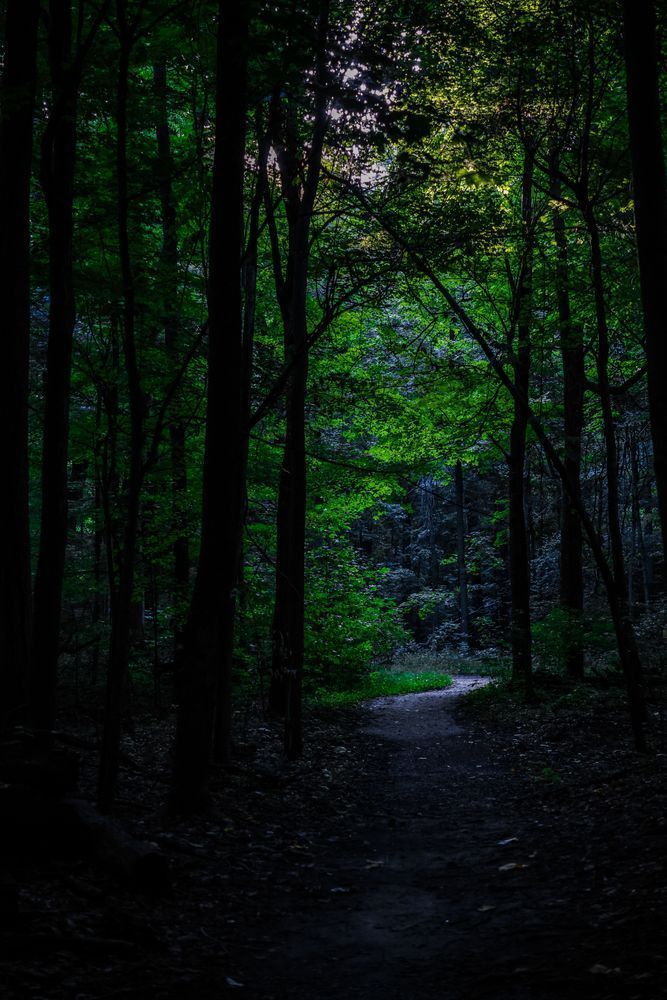 Pn0 A7074 Edit.Jpg Photography Art | Kevin Morris Photography USA