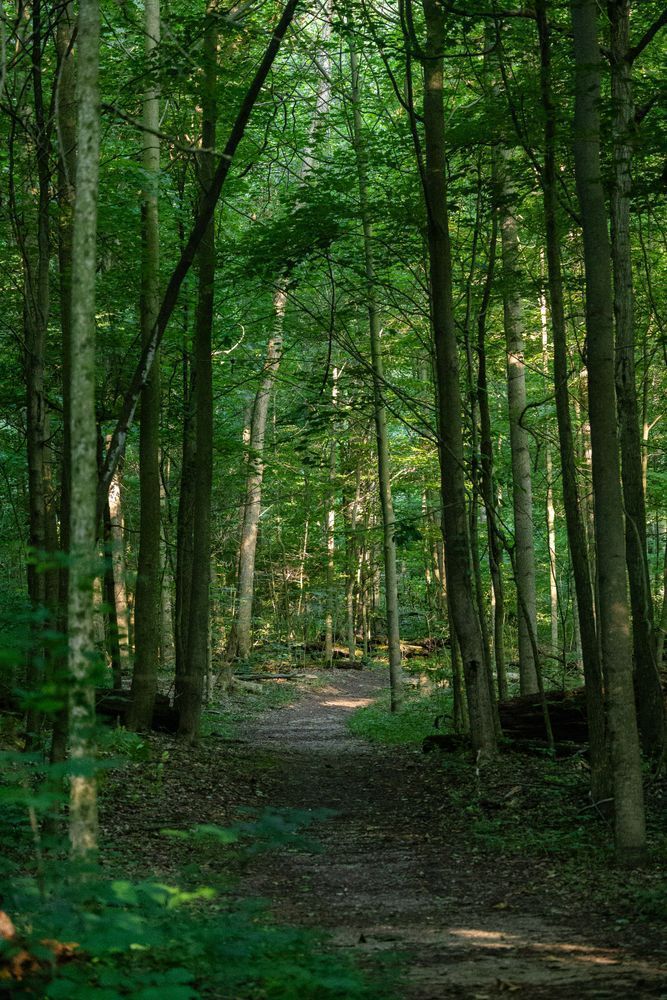 Pn0 A7819.Jpg Photography Art | Kevin Morris Photography USA