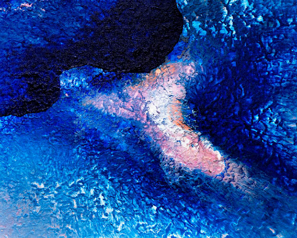 Blossoms in the Blue