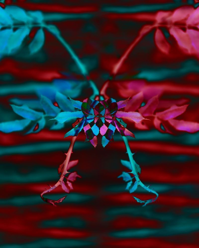 Cyan And Red Floral Alien Photography Art | Kevin Morris Photography USA
