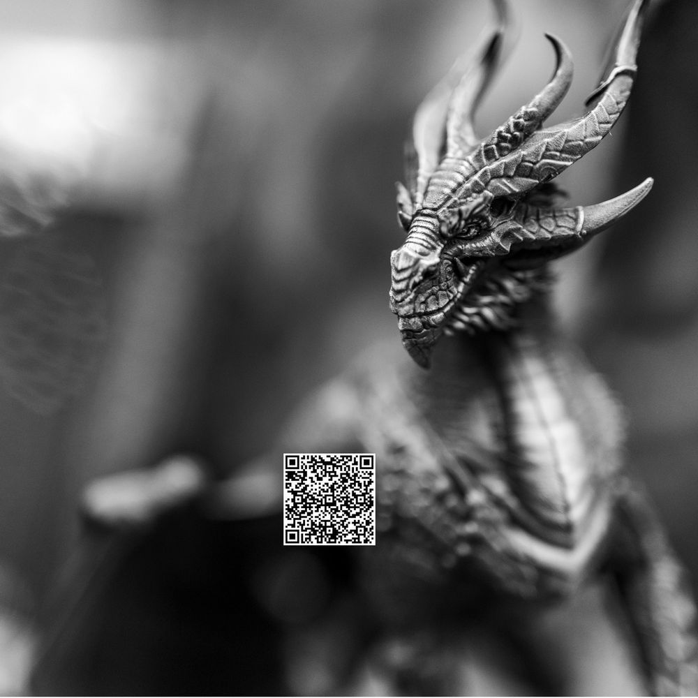 Dragontoteqrcode Photography Art | Kevin Morris Photography USA