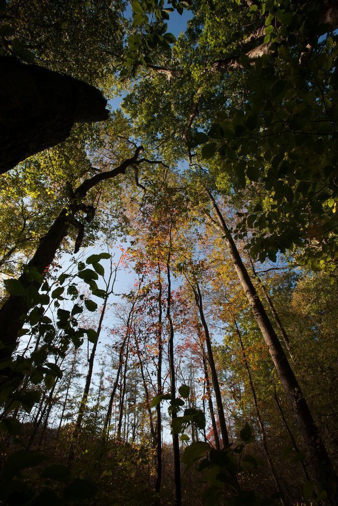 Lookingup Photography Art | Kevin Morris Photography USA