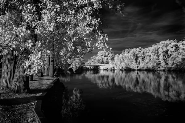 Reflective Calm Amidst Nature