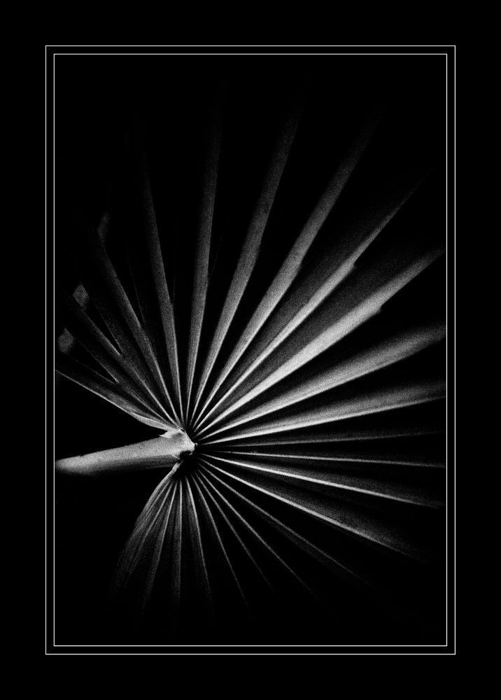 Radiant Shadows In Motion Photography Art | Kevin Morris Photography USA