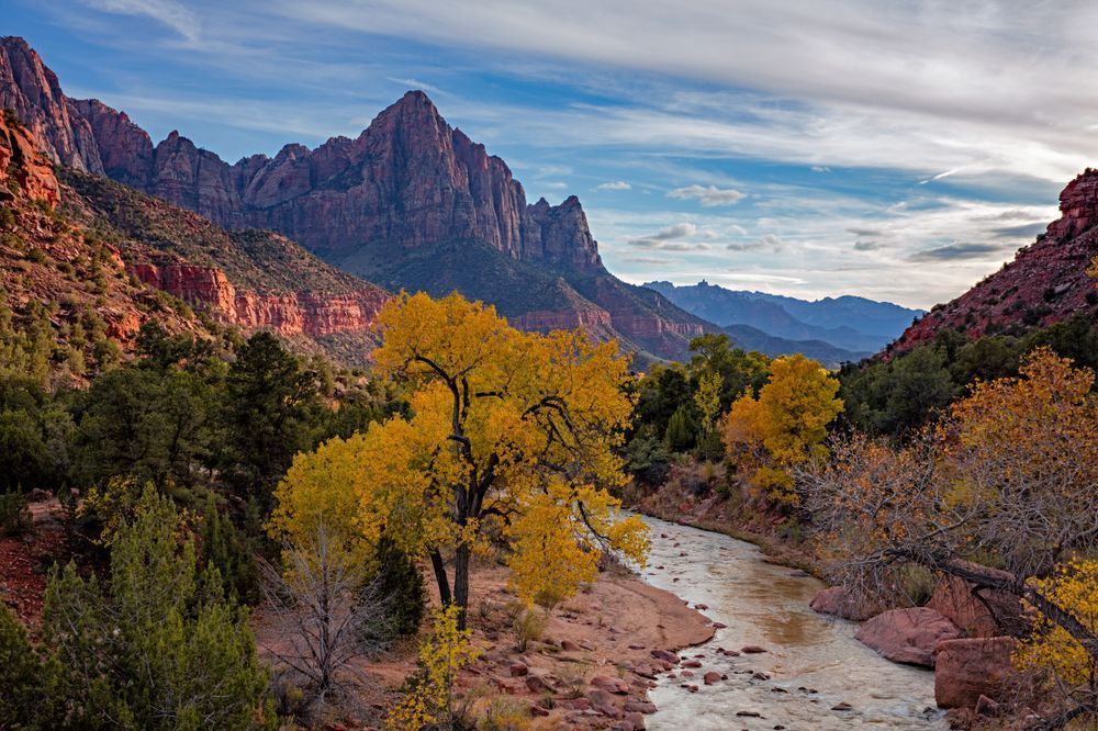 Zion Fall Colors Photography Art | Michael Etringer Photography