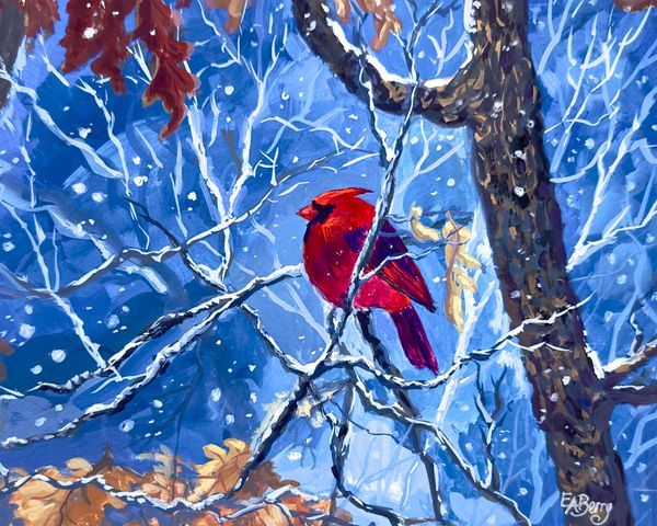 Shop Cardinals/ Birds