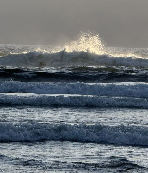 Coastal Brilliance