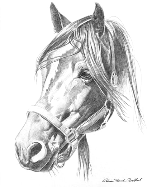 Echo