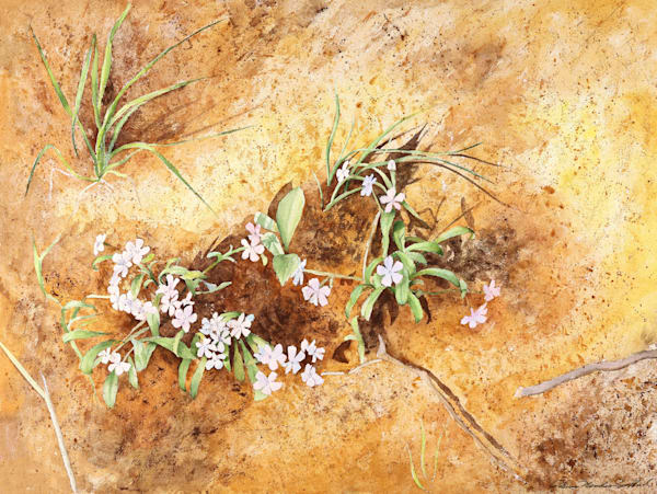 Little Wildflowers