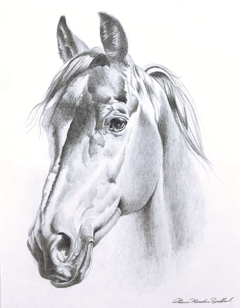 The Duke