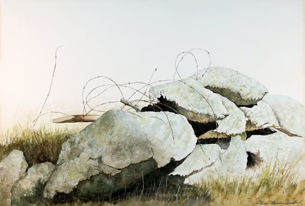The Barbedwire Fence