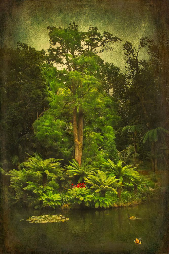 Furnas Garden 24x36" & Up Art | Eduardo Tavares