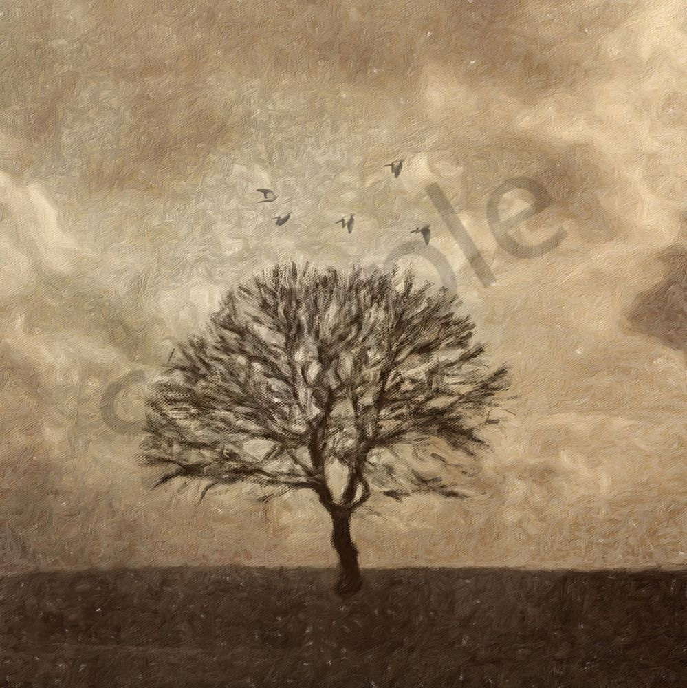 Winter Afternoon Art | Eduardo Tavares
