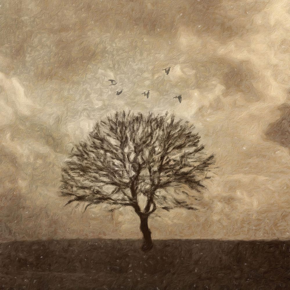 Winter Afternoon Art | Eduardo Tavares