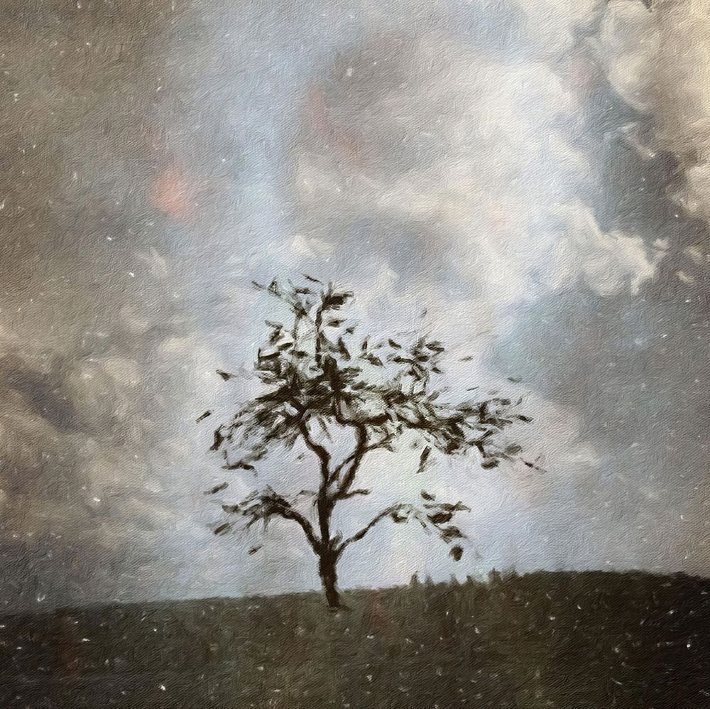 Winter Evening Art | Eduardo Tavares