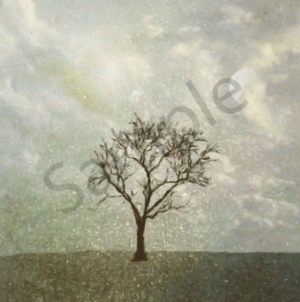 Winter Morning Art | Eduardo Tavares